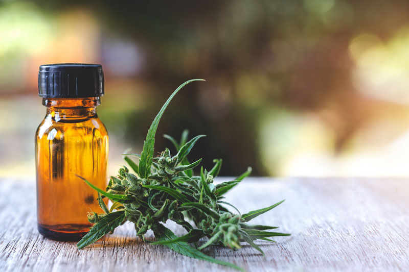 terpenes