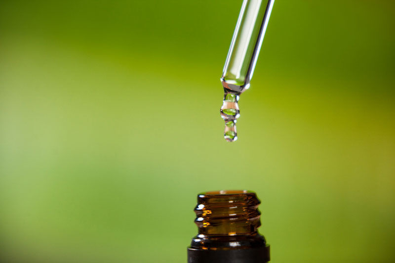 Let’s Talk Terpenes: The Aromatic Powerhouses Behind Plant-Based Wellness